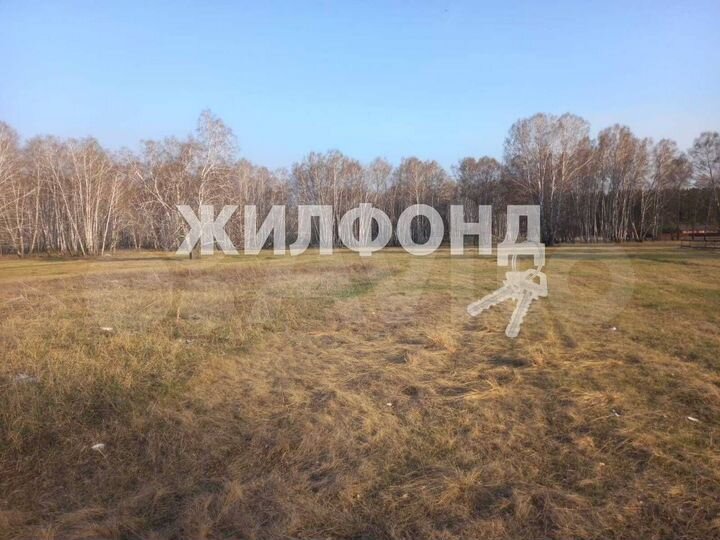 Участок 10 сот. (СНТ, ДНП)