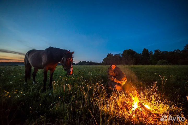 Конные прогулки