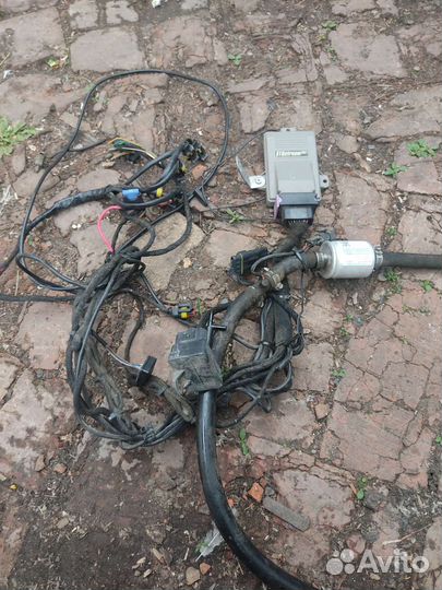 Газовые мозги