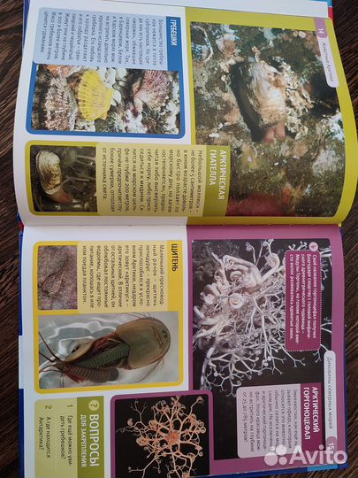 Детские энциклопедии новые