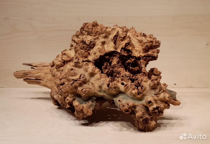 Коряги для аквариума