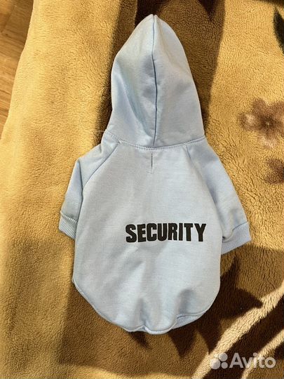 Одежда для кошек сфинкс