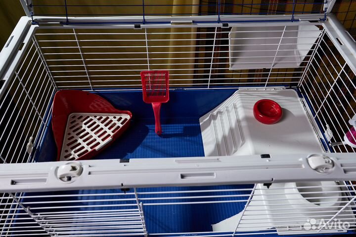 Большая клетка для свинки свинок кроликов ежа