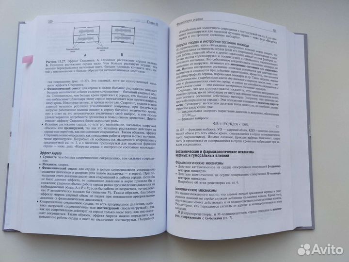 Основы медицинской физиологии - Н.Н. Алипов