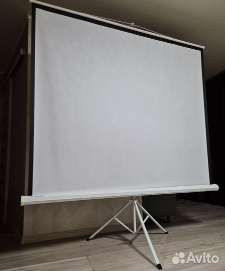 Аренда проектора и экрана
