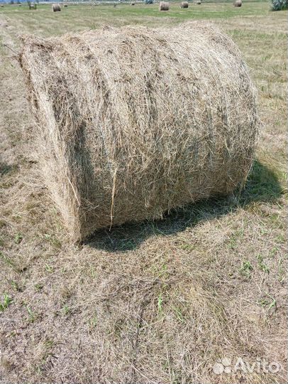 Услуги пресс подборщика