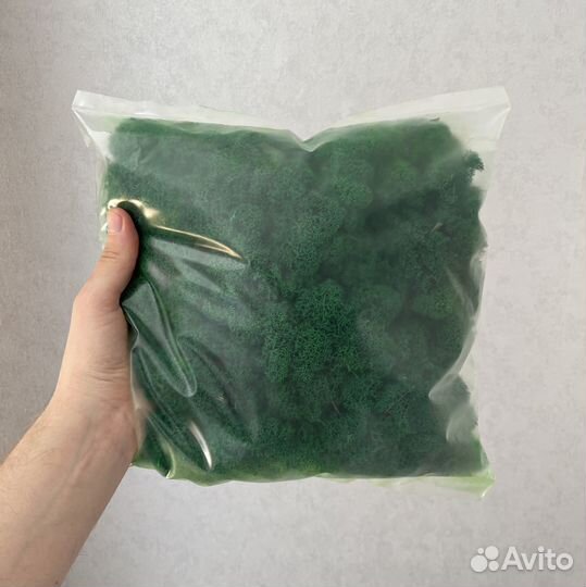 Стабилизированный мох, Зелёное Яблоко