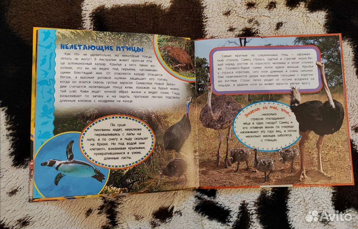 Новые книги про птиц и зверей
