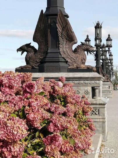 05.11.23 Эускурсия к замку Гарибальди с обедом