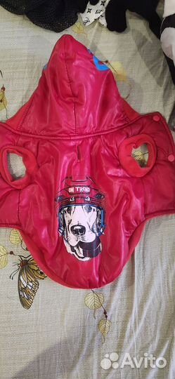 Зимний костюм для собак