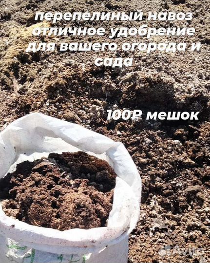 Перепелиный помёт, перегной