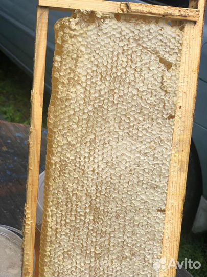 Мёд. Очень вкусный. Натуральный