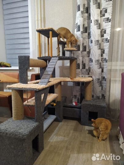 Домик для кошки с когтеточкой бу