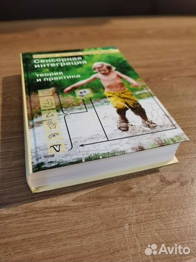 Сенсорная интеграция Изд. Теревинф Анита Банди