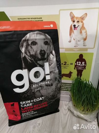 Корма для собак Холистик