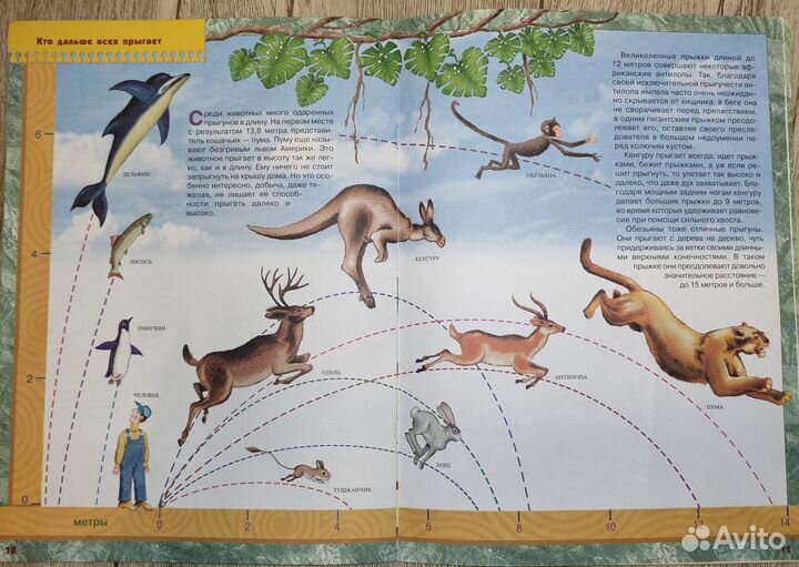 Школа семи гномов 4 +