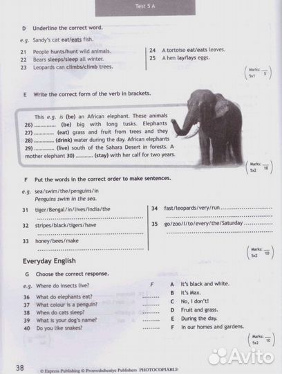 Рабочая тетрадь по английскому 5 класс