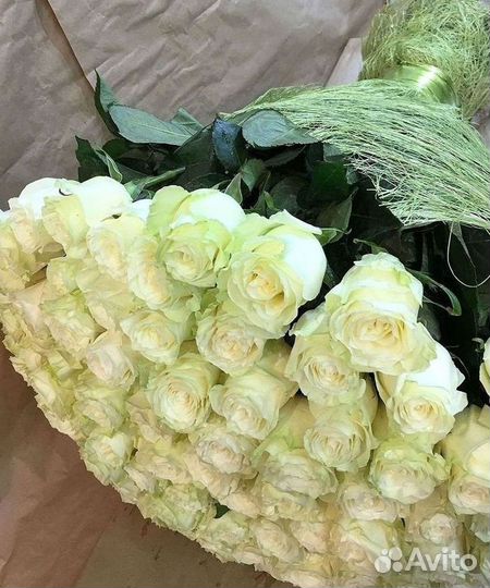 Высокие Розы с Доставкой