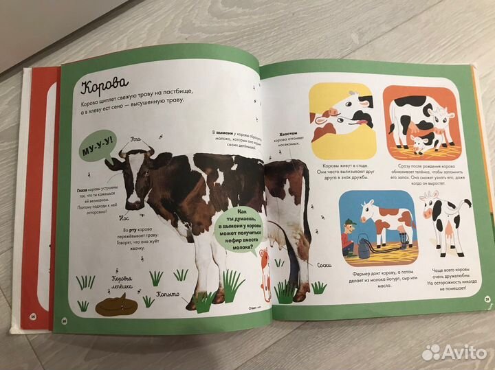 Книги и сортер детские