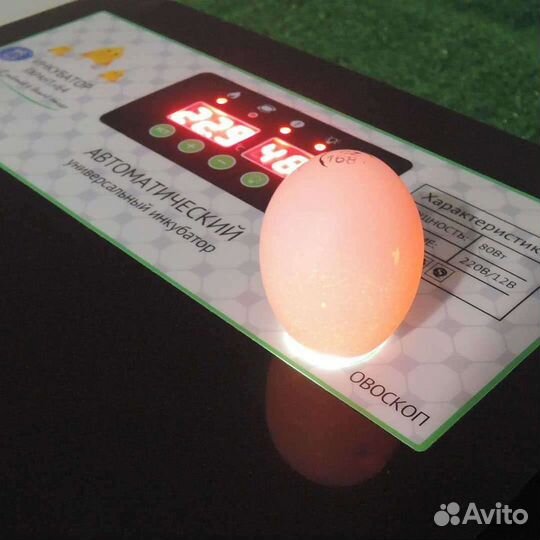 Инкубатор smart household-64
