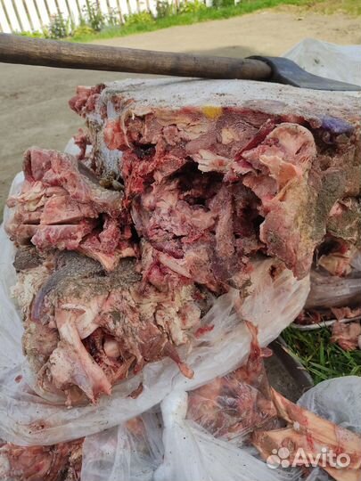 Мясо говядина для собак (обрезь)