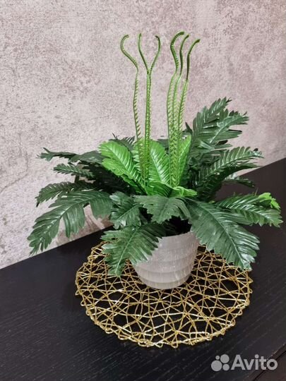 Папоротник искусственный