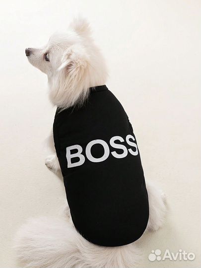 Одежда для маленьких собак Shein