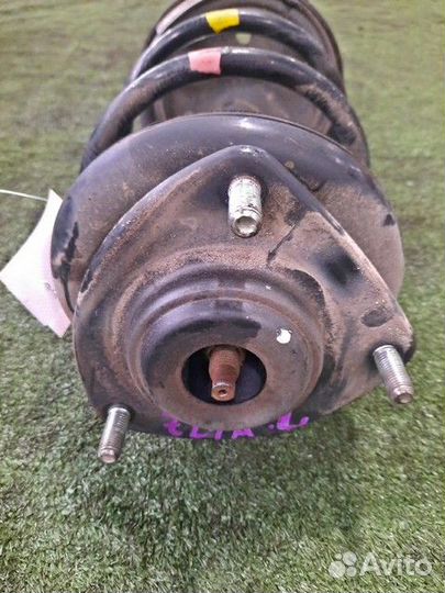 Амортизатор подвески передний Mitsubishi Colt Plus