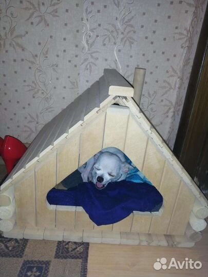 Домик для кота или собаки