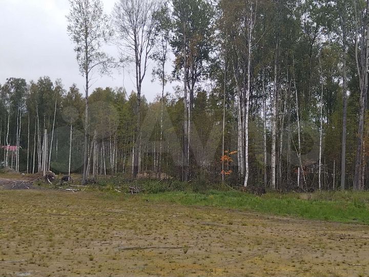 Участок 8,6 сот. (СНТ, ДНП)