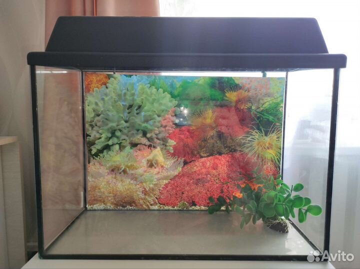 Аквариум