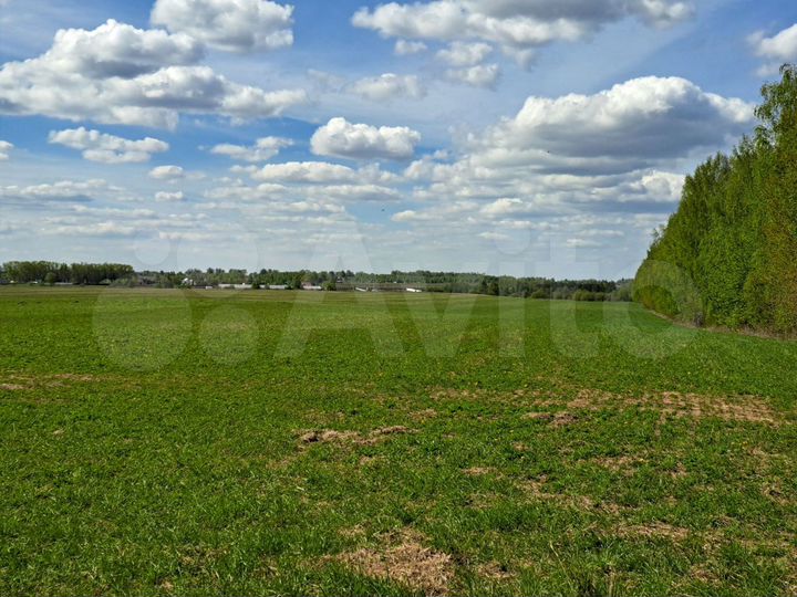 Участок 11 сот. (СНТ, ДНП)