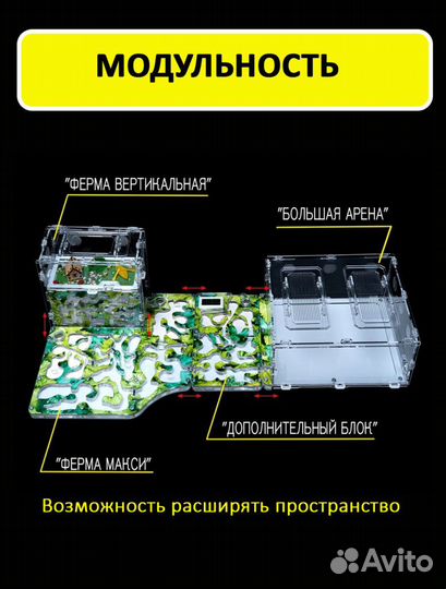 Муравьиная ферма (Формикарий) Вертикальная