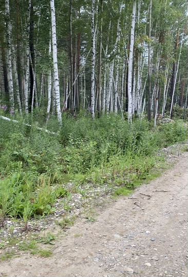 Участок 10 сот. (СНТ, ДНП)