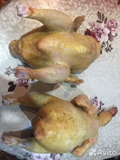 Птица на стол и племя