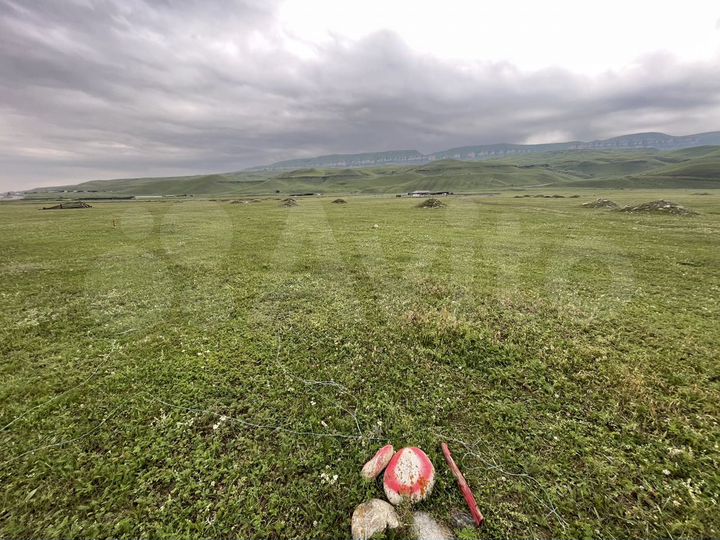 Участок 15,5 сот. (СНТ, ДНП)