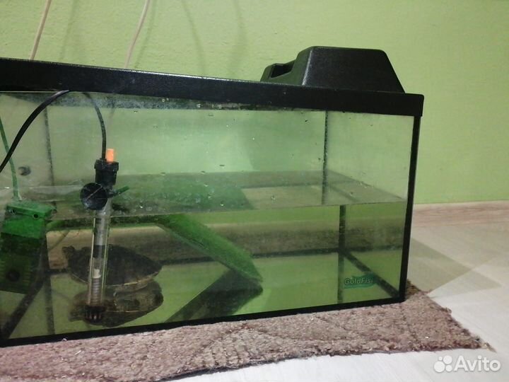 Аквариум