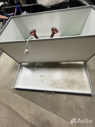 Брудер для цыплят