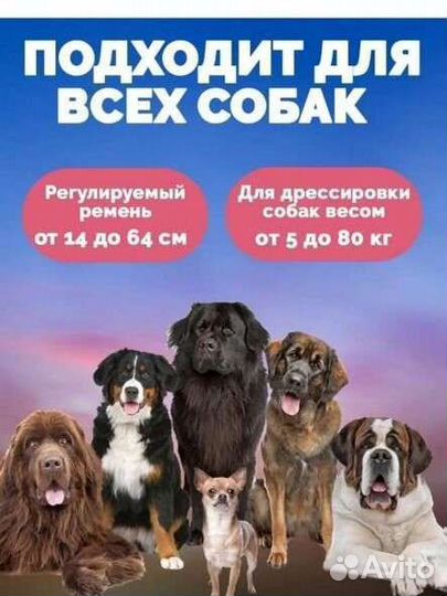 Ошейник для дресировки собак