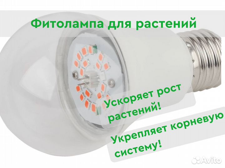 ASD/InHome фито лампа для рассады и растений 15W