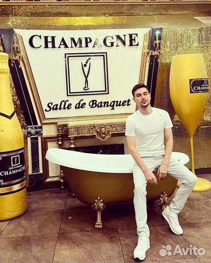 Певец, Бек- вокалист