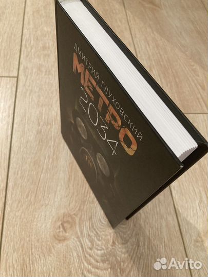 Книга метро 2034