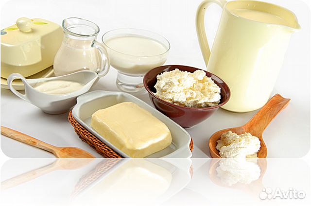 Проект кисло молочные продукты