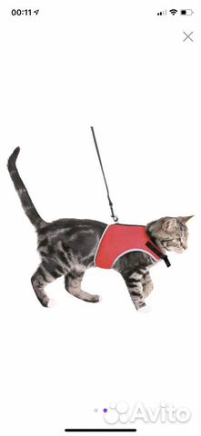 Шлейка поводок для кошки новая