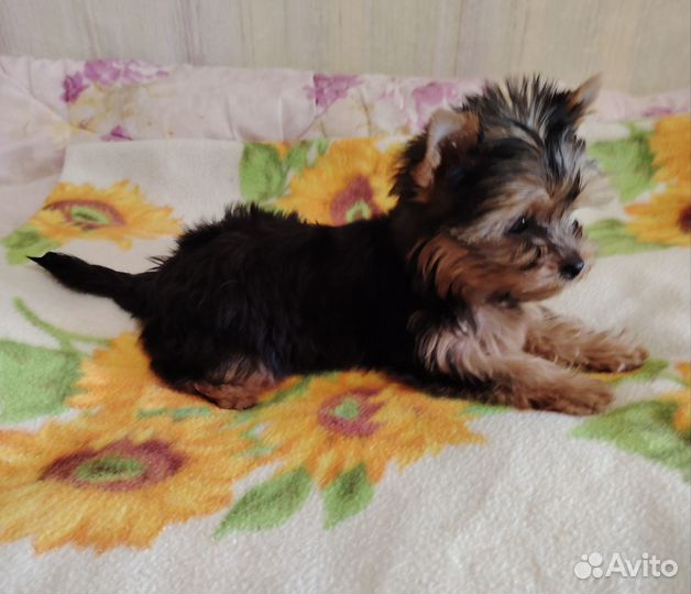 Классный парень