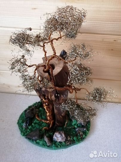 Дерево бонсай