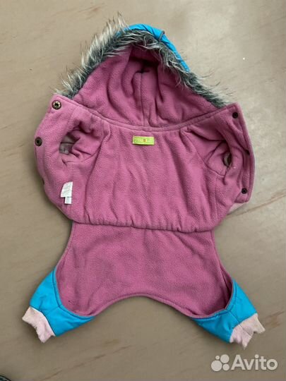 Одежда для собак