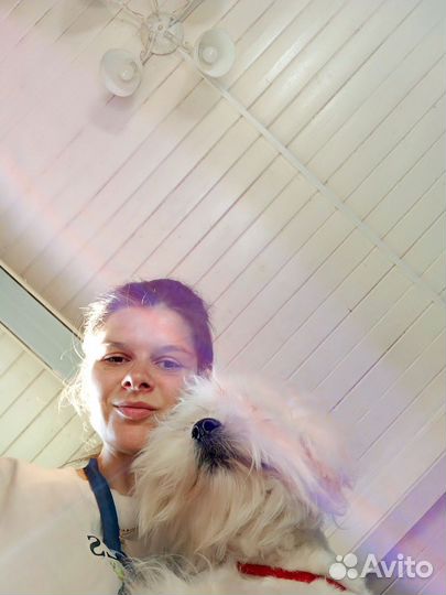 Кинолог зоопсихолог