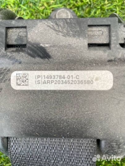 Ремень безопасности задний левый Tesla Model Y