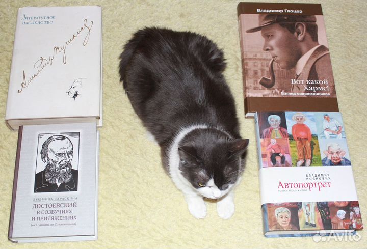 Книги о русских писателях и литературе